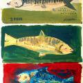 Piranda: Tre pesci in mare